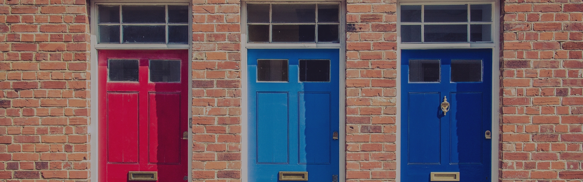 Brand Management Banner