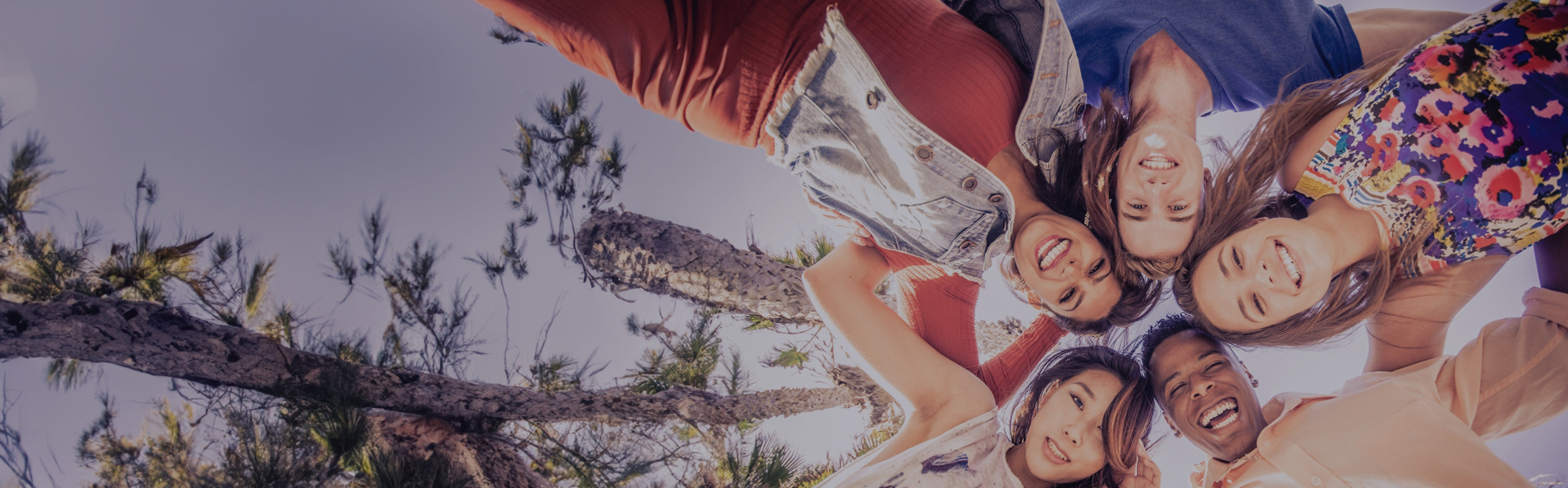 Market Assessment Banner